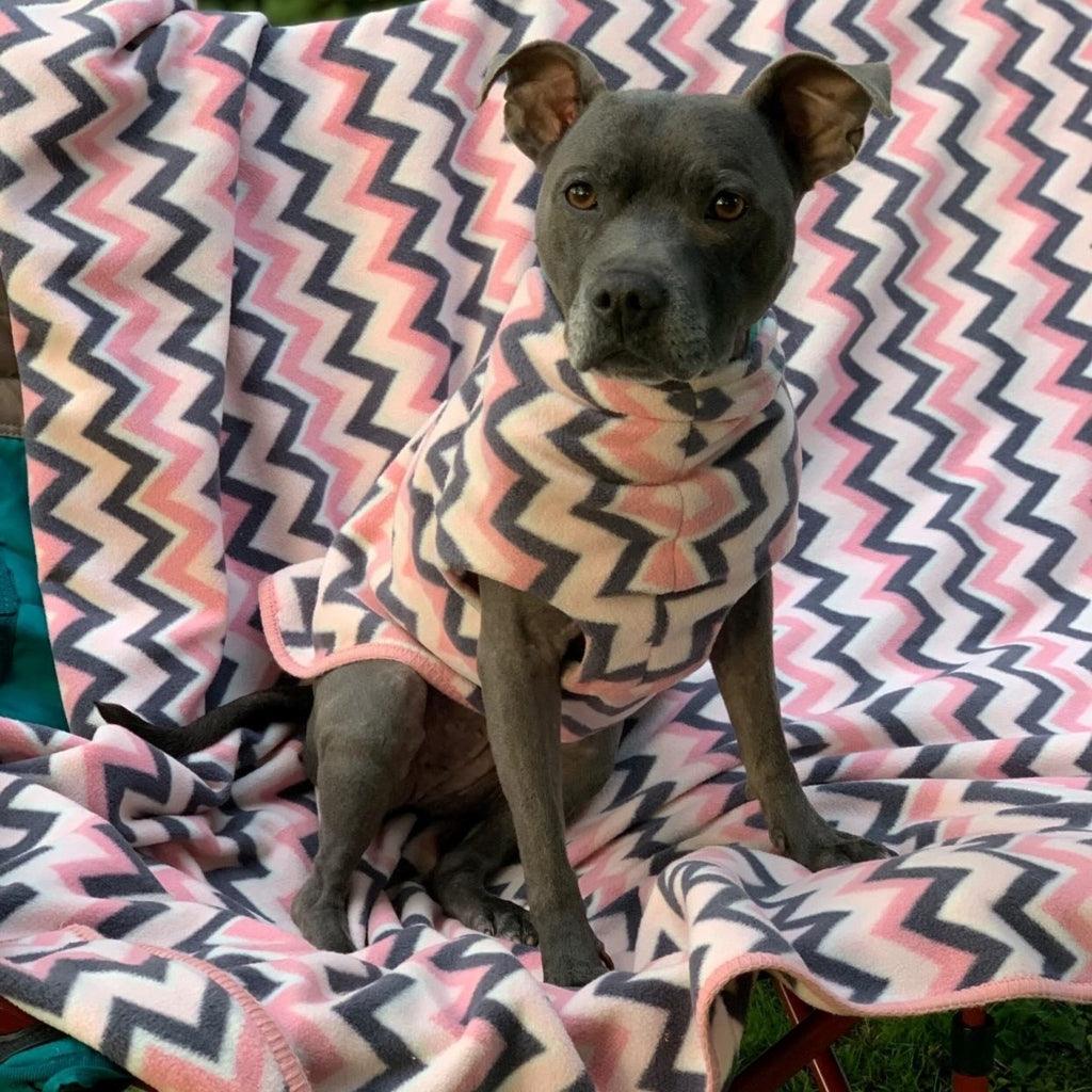 A Staffordshire Bull Terrier is sitting on a pink stripe blanket and wearing a matching coat.
