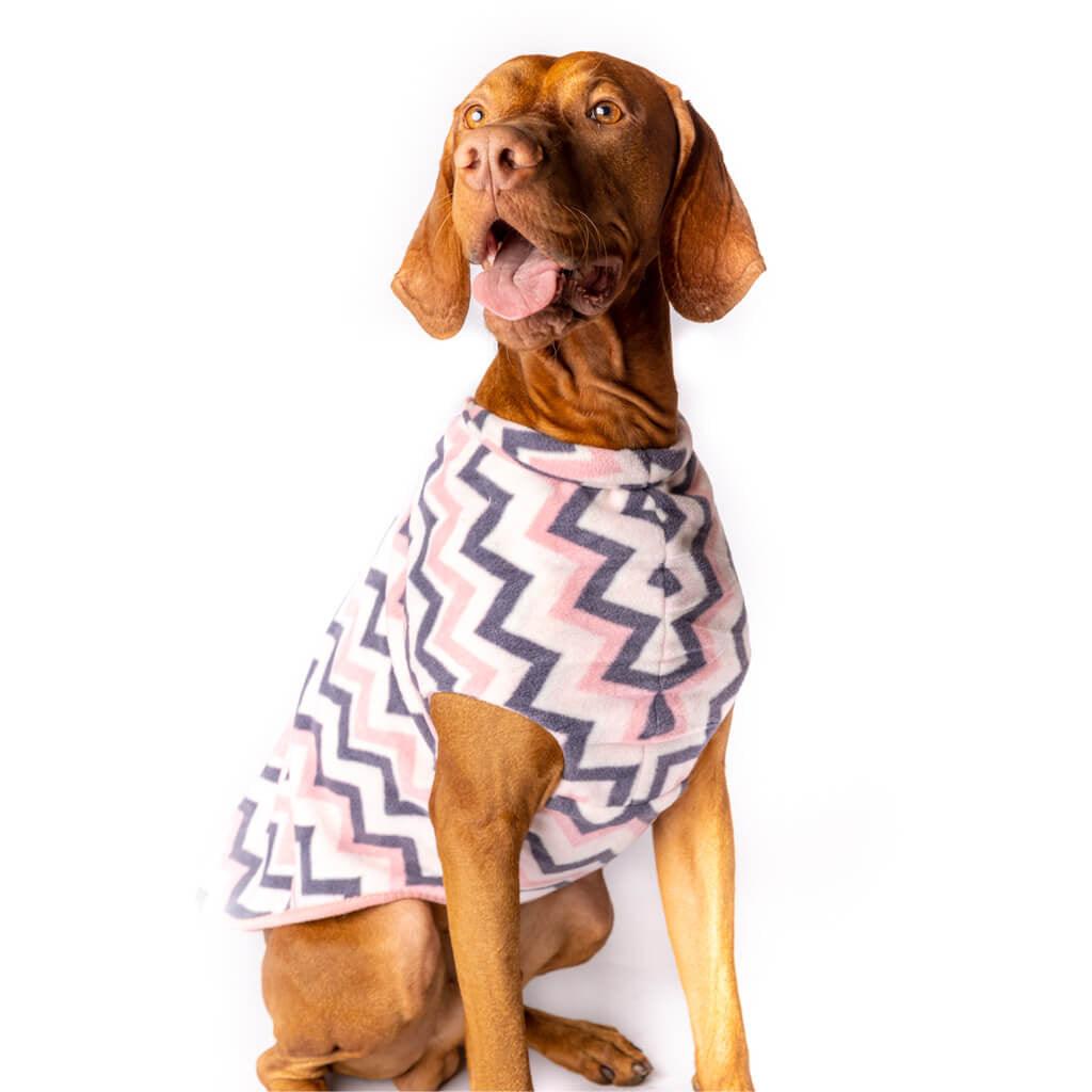 An Aussie Shepherd dog modelling a pink stripe fleece dog coat.