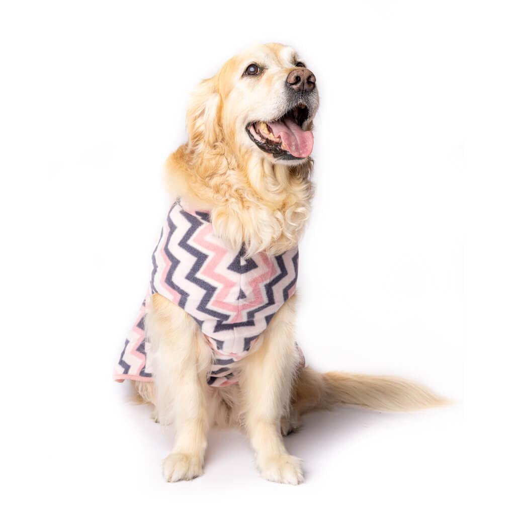 A Golden Retriever modelling a pink stripe fleece dog coat.