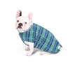 A French Bulldog wearing a blue and green check fleece dog coat.