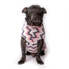 A Staffordshire Bull Terrier models a pink stripe fleece dog coat.