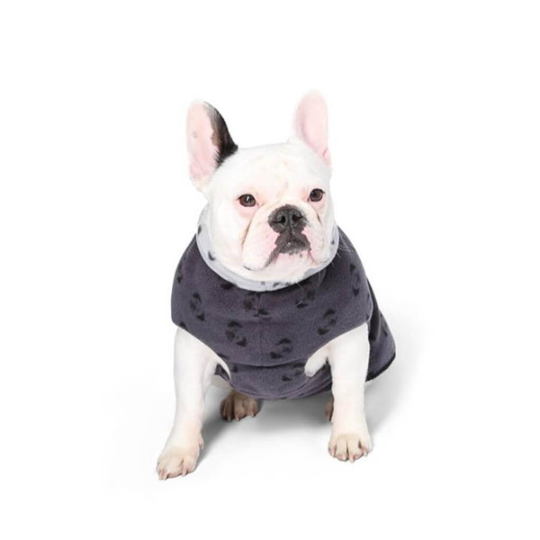 A French Bulldog wearing a grey fleece dog coat.
