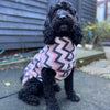 A Cockerpoo dog wearing a pink stripe fleece dog coat.