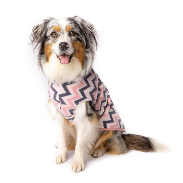 An Aussie Shepherd dog modelling a pink stripe fleece dog coat.