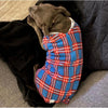 A sleeping dog wearing a blue and red check fleece dog coat.