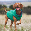  A Vizsla dog wearing a green dog puffer jacket.