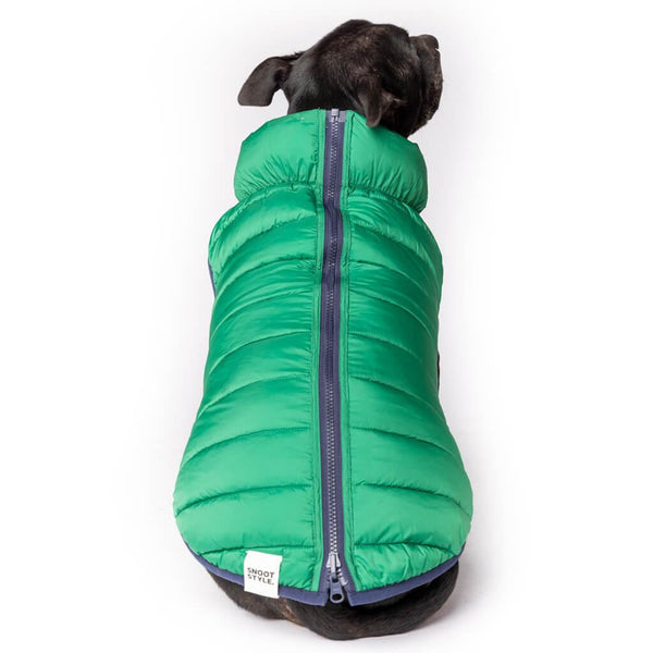 A dog wearing a green reversible dog puffer jacket.