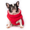 French Bulldog wearing a red dog puffer jacket.
