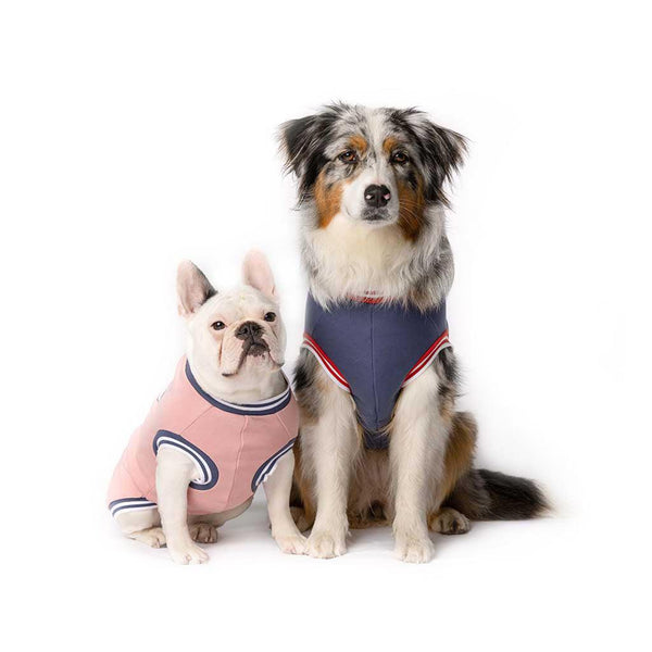Snoot Style Cotton Dog Sweaters.