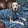 A Dalmation dog wearing a fleece dog coat, sitting on a fleece dog blanket.