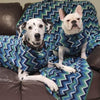 A Dalmatian dog and a French Bulldog sitting together on the couch. Both dogs are wearing green strip fleece dog coats. 