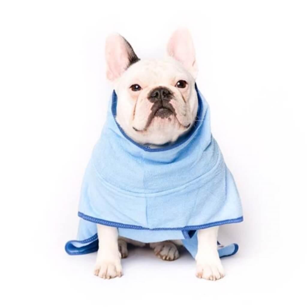 A French Bulldog wearing a blue dog drying towel.