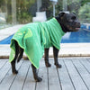 A dog standing by a swimming pool wearing a green dog towel robe.