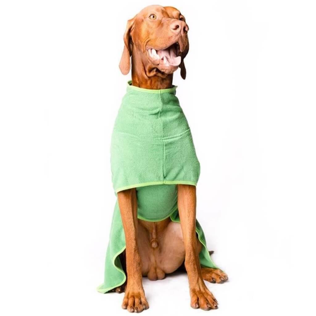 A Vizsla dog wearing a green dog towel robe.
