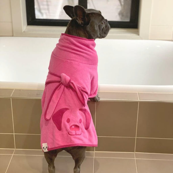 A French Bulldog standing on a bath wearing a pink dog drying coat.