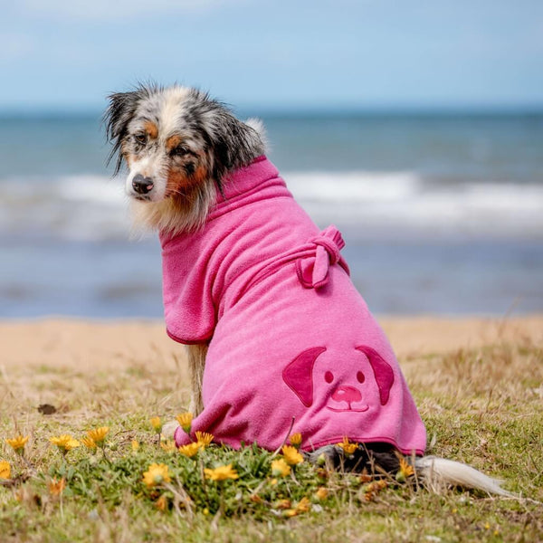 A dog at the beach wearing a pink dog drying robe.