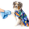 A dog in a raincoat having its paw dried with a Snoot Style Organic Cotton dog drying mitt.