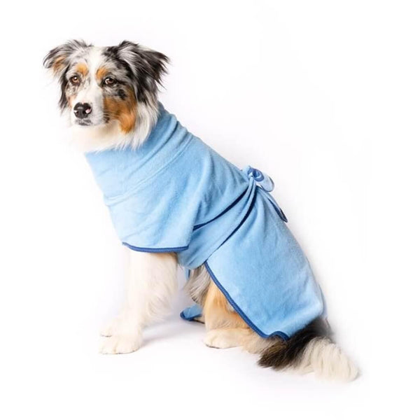 An Aussie Shepherd dog wearing a blue dog drying coat.