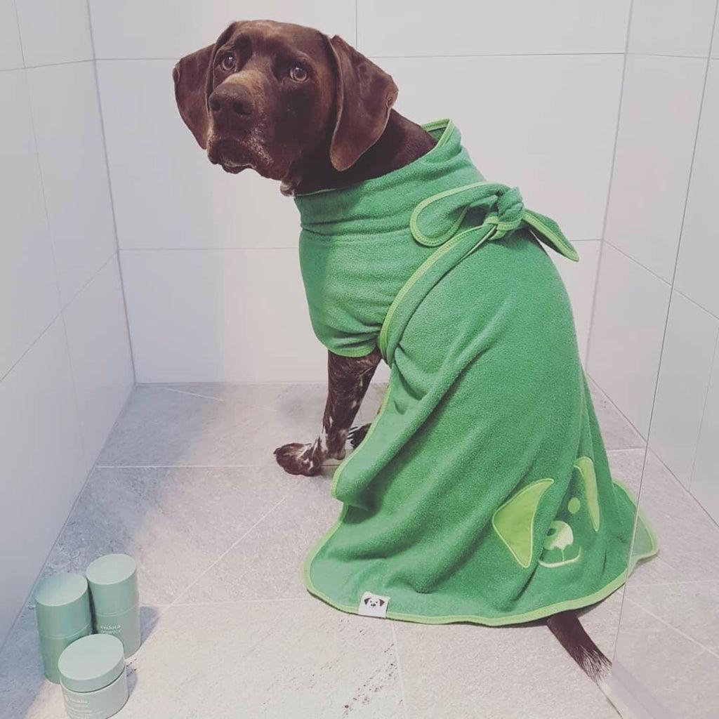 A pointer dog in the shower wearing a green dog drying coat.
