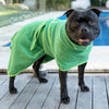 A dog by a swimming pool wearing a green dog towel coat.