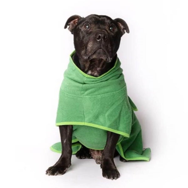 A Staffordshire Bull Terrier wearing a green dog drying robe.