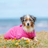 A dog at the beach wearing a pink dog drying towel.