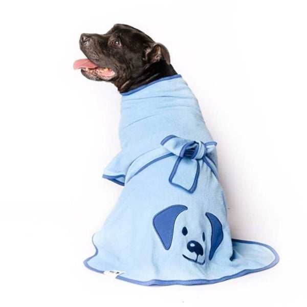 A Staffordshire Bull Terrier wearing a blue dog towel robe.