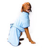 A Vizsla dog wearing a blue dog drying coat.