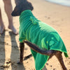 A dog on the beach wearing a green dog drying robe.