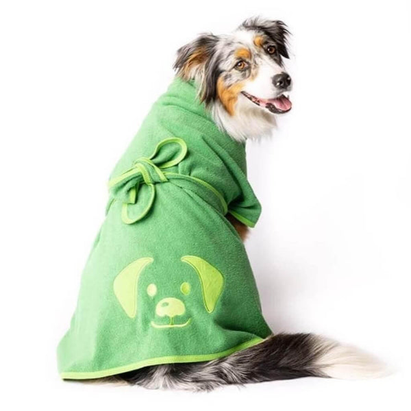 An Aussie Shepherd dog wearing a green dog towel robe.
